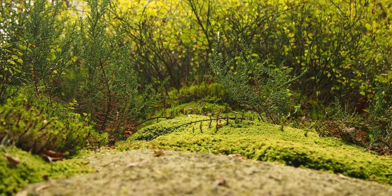 5G+云计算：企业数字化转型的加速器与编程新战场