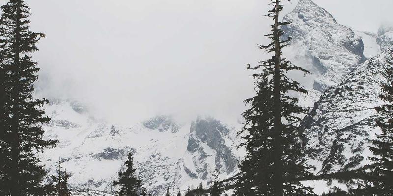 从编程到云端：SDN如何重塑数据中心网络架构的实践指南