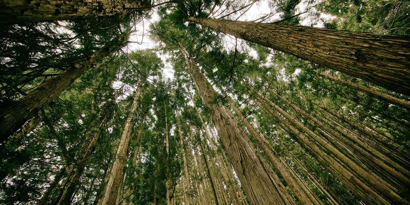 算网一体：从架构演进到协议栈实战，网络安全与编程的融合革命