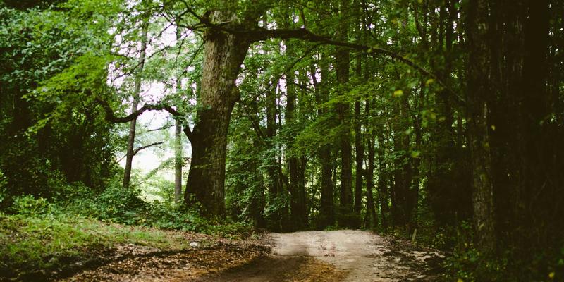 边缘计算与物联网(IoT)网络融合:三大关键技术如何重塑开发、云与安全格局